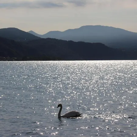 Millennium Hotel Locarno