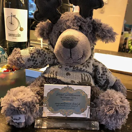 Millennium ロカルノ